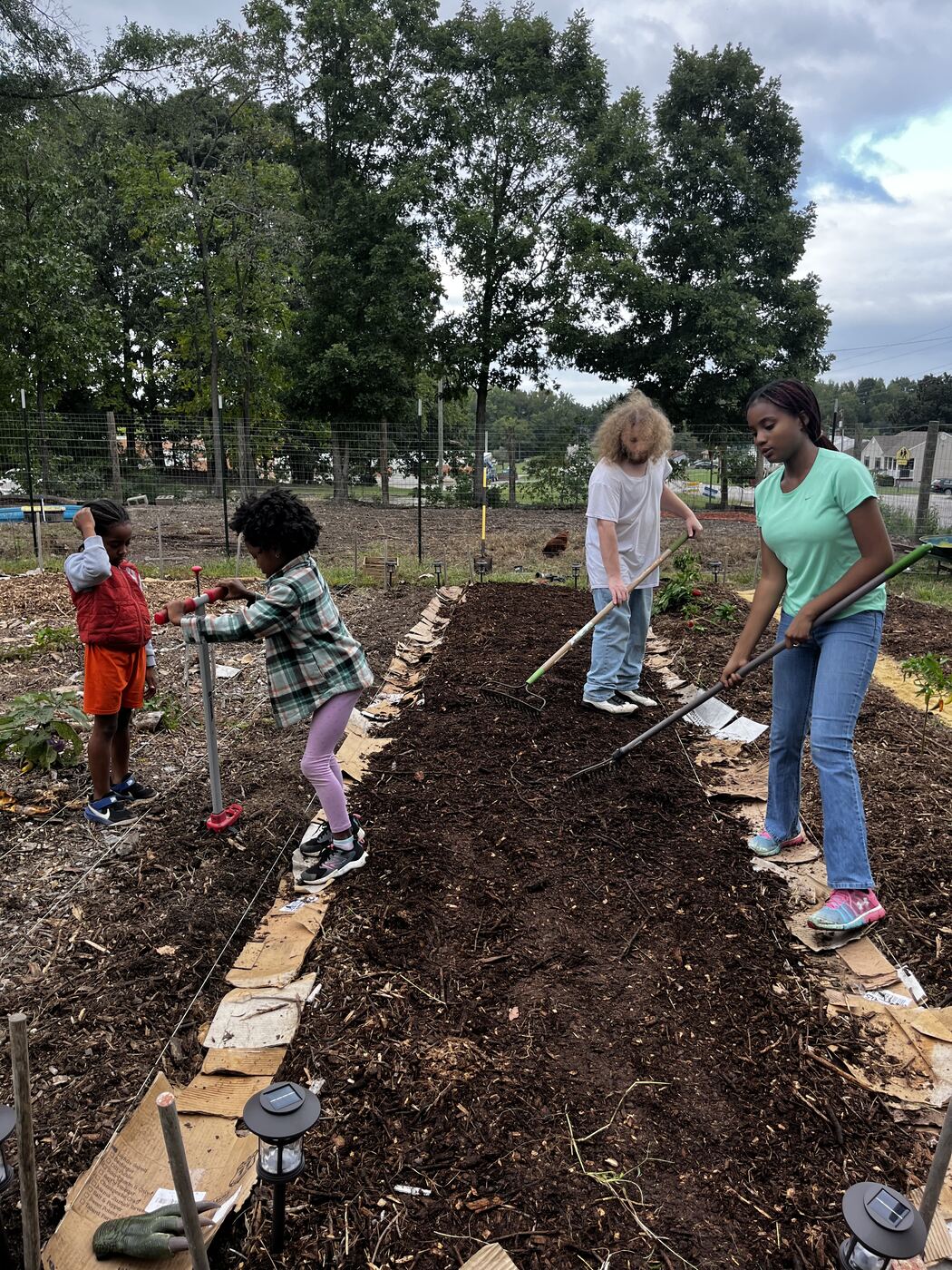 Mulched crop rows ready for planting