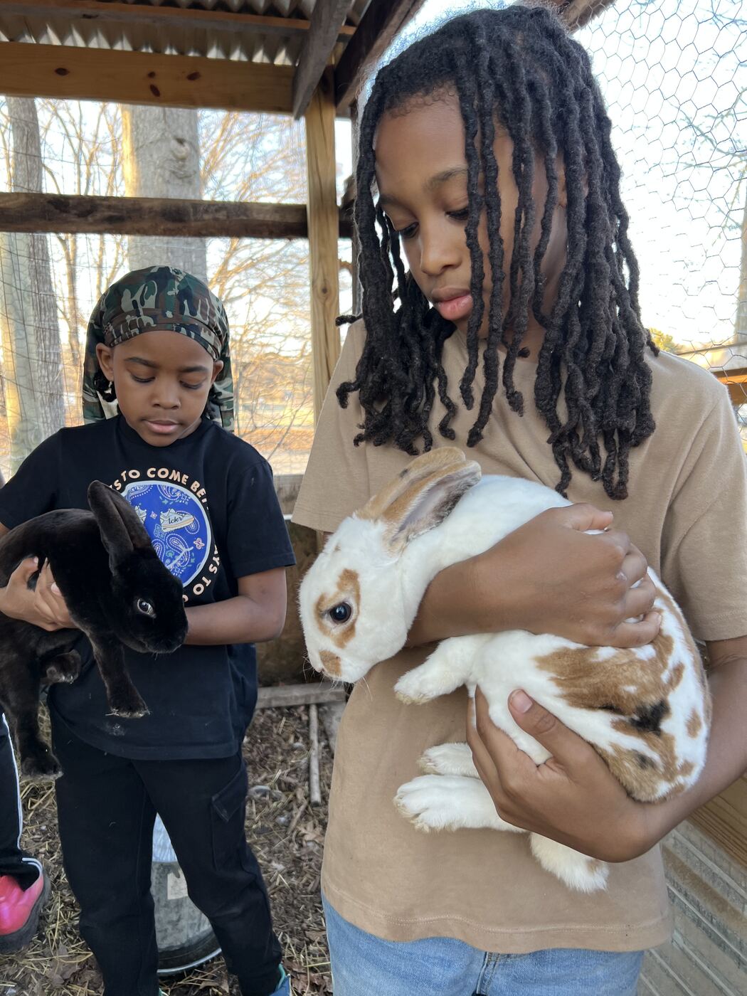 A grower gently holding one of the farm rabbits