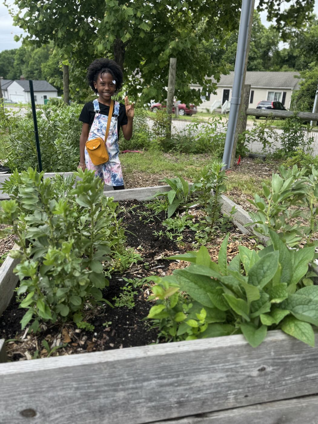 Produce growing in raised beds