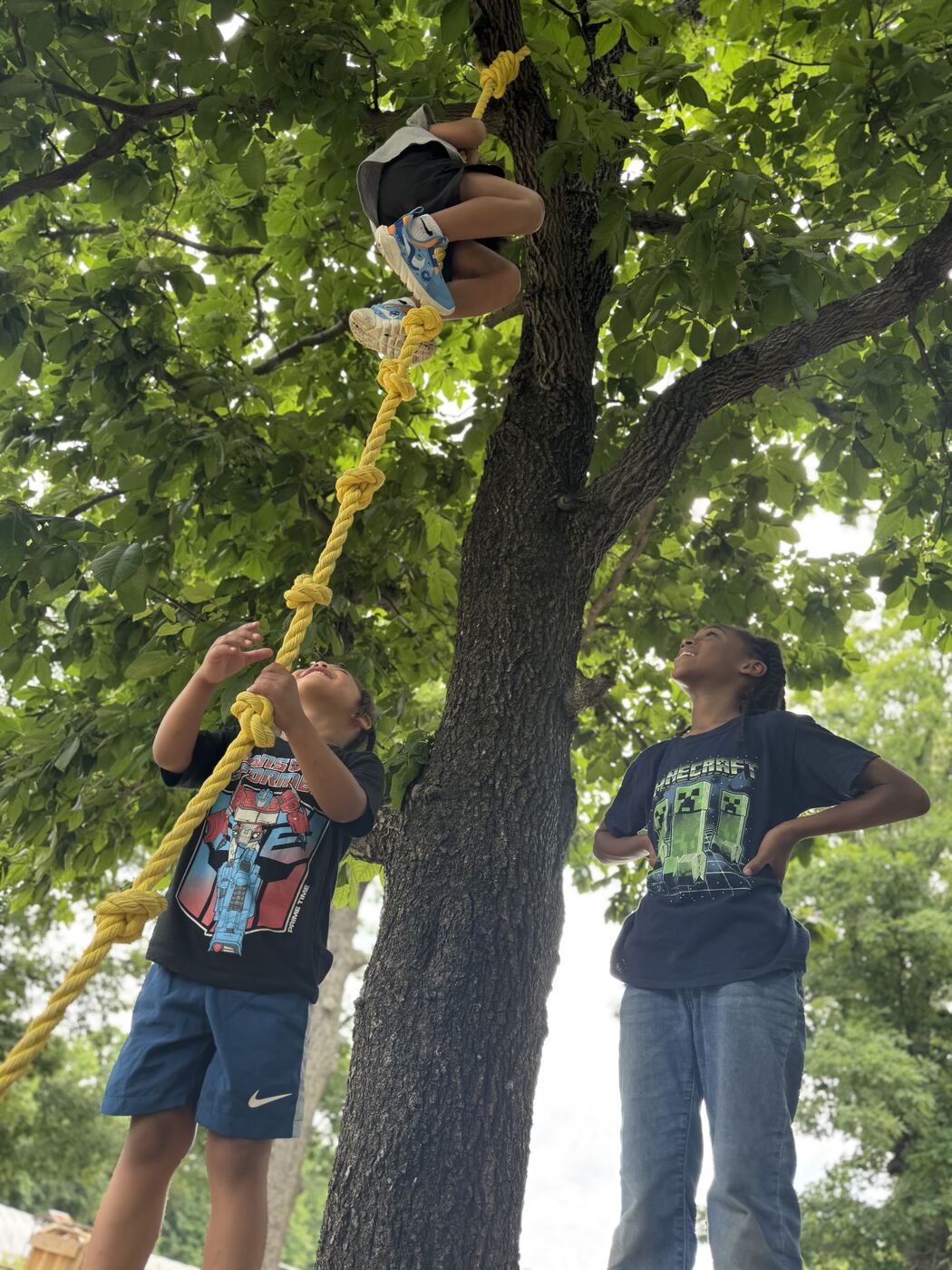 Young growers climbing a rope ladder into a tree at the farm