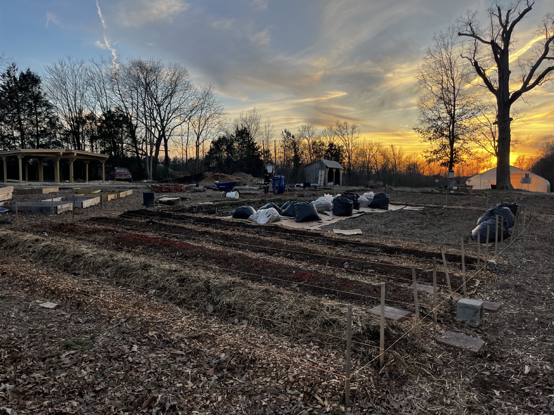 Golden-hour light over garden beds at the Oasis Youth Farm