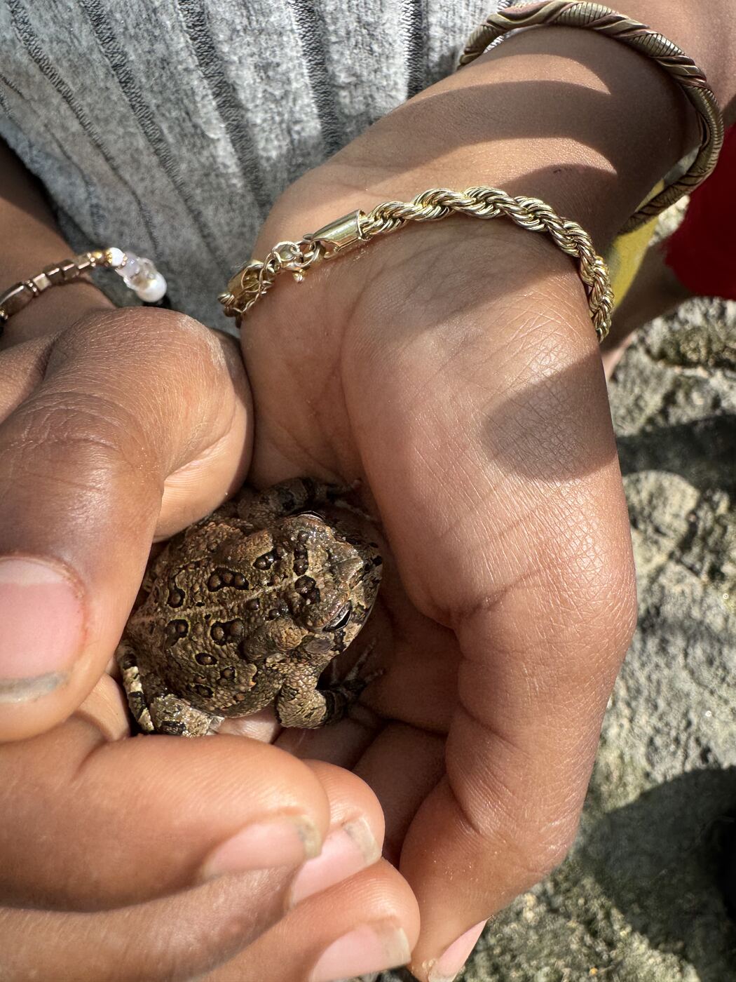 Hands cradling living soil at the farm