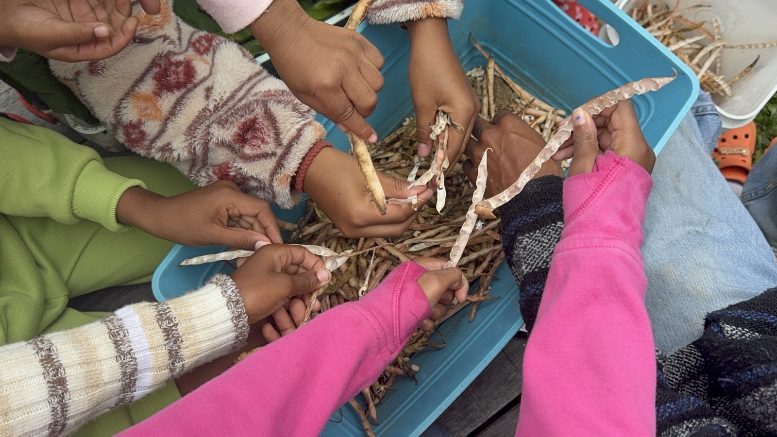 Growers shelling beans together during a hands-on FUNction on the farm